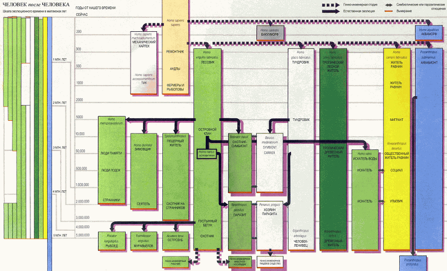 После человека. Зоология будущего - diagr_ru.png