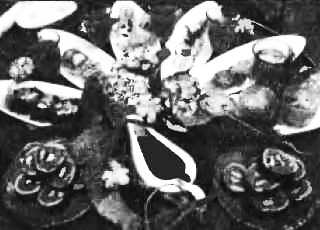 Япония Лики времени. Менталитет и традиции в современном интерьере. - Clipboard01.jpg_0