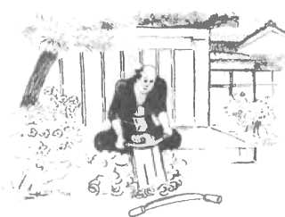 Япония Лики времени. Менталитет и традиции в современном интерьере. - Clipboard13.jpg_1