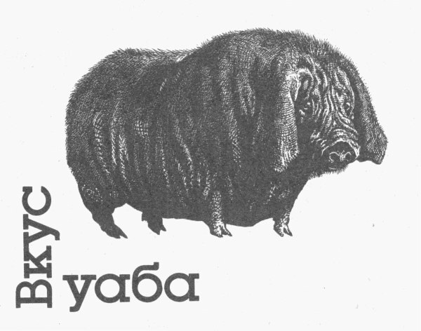 Вкус Уаба - _0.jpg