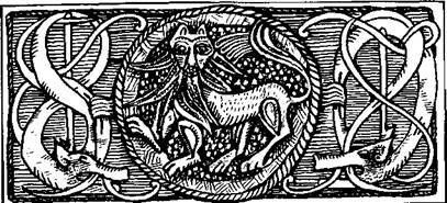 Конунг. Изгои - i_006.jpg