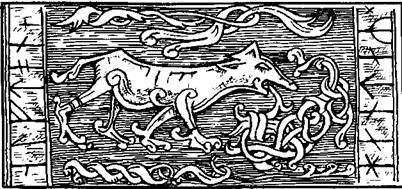 Конунг. Изгои - i_019.jpg