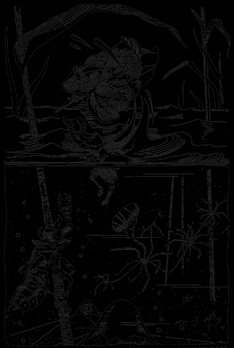 В країні дрімучих трав - doc2fb_image_03000008.png