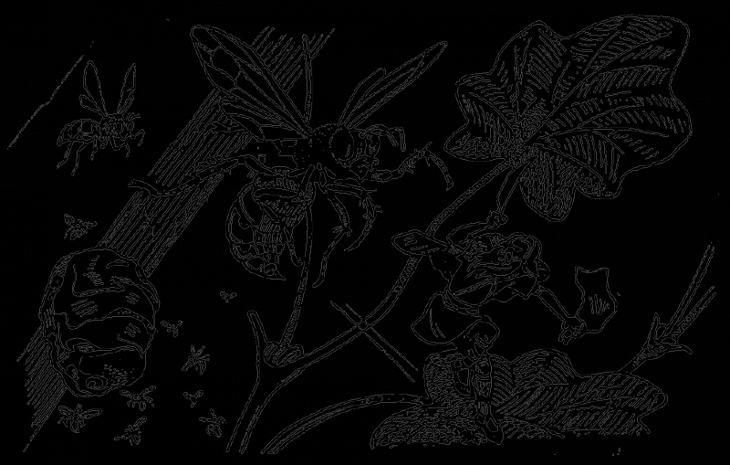 В країні дрімучих трав - doc2fb_image_0300000A.png