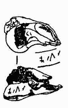 Киевская Русь. Страна, которой никогда не было? : легенды и мифы - _0077.png