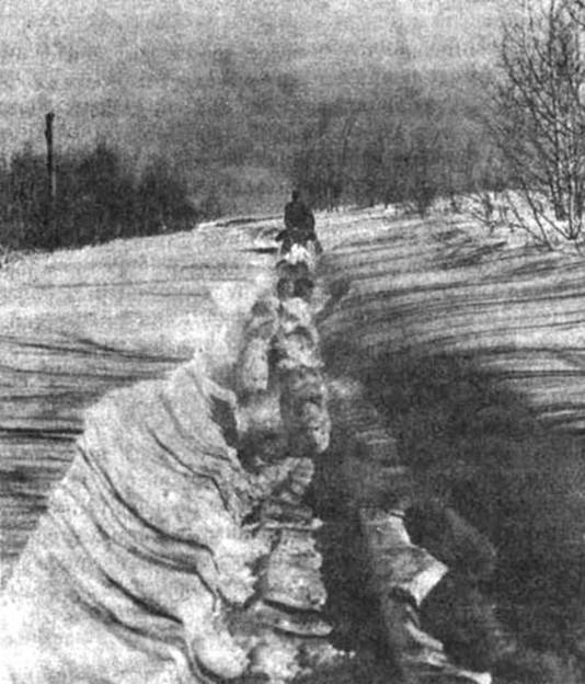 Психология собаки. Основы дрессировки собак - i_023.jpg