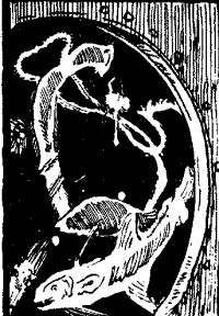 Сергей Вавилов - i_015.jpg