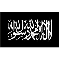 Терроризм и террористы. Справочник - al_kaida.jpg