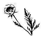 Том 19. Белые пелеринки - pic_24.png