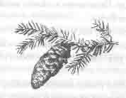 Том 20. Дом шалунов - pic_17.png