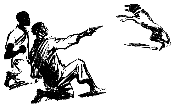 Искатель. 1966. Выпуск №6 - i_023.png