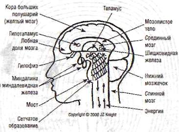 Параллельные жизни и колебания квантового поля - _08.jpg