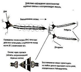 Параллельные жизни и колебания квантового поля - _12.jpg