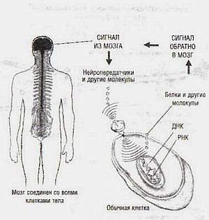 Параллельные жизни и колебания квантового поля - _13.jpg