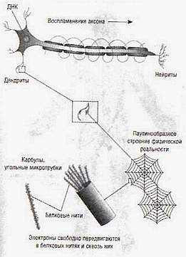 Параллельные жизни и колебания квантового поля - _14.jpg