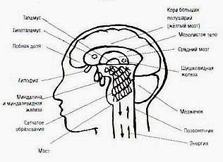 Последний вальс тиранов. Верны ли пророчества о 2012 годе? - _03.jpg