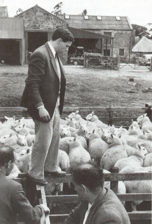 Джим Кларк. Легенда гонок. Часть 3. - pic_11.jpg