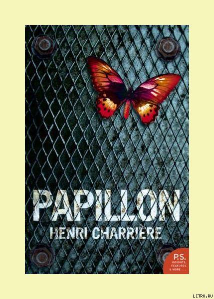 Papillon - pic_1.jpg