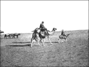 Библия и Вавилон - _47.png