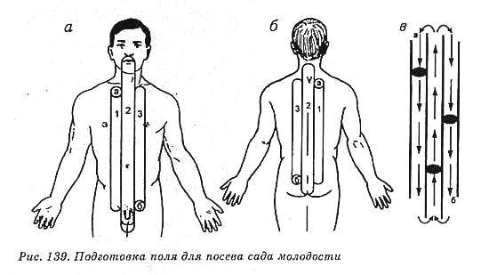 Система здоровья Норбекова и Сам Чон До. Полный курс - hvan_139.jpg