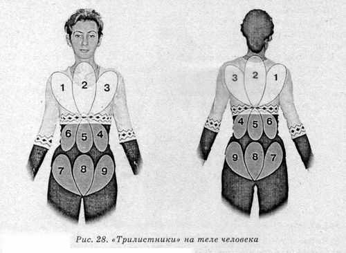 Система здоровья Норбекова и Сам Чон До. Полный курс - hvan_28.jpg