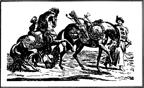 Давний спор славян. Россия. Польша. Литва [с иллюстрациями] - i_014.png