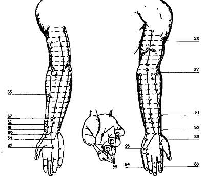Здоровье на кончиках пальцев - _09.jpg