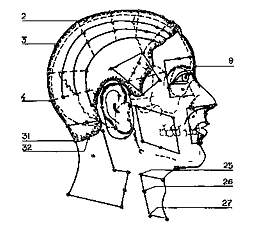 Здоровье на кончиках пальцев - _12.jpg