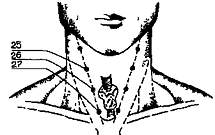 Здоровье на кончиках пальцев - _13.jpg