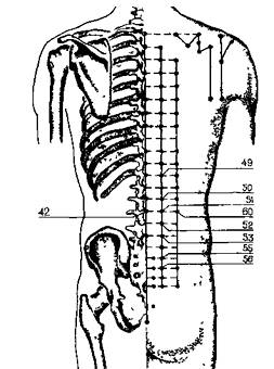 Здоровье на кончиках пальцев - _36.jpg