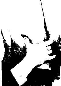 Здоровье на кончиках пальцев - _38.jpg