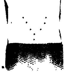 Здоровье на кончиках пальцев - _39.jpg