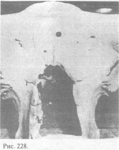 Сошедшие с небес и сотворившие людей - img_237.jpeg