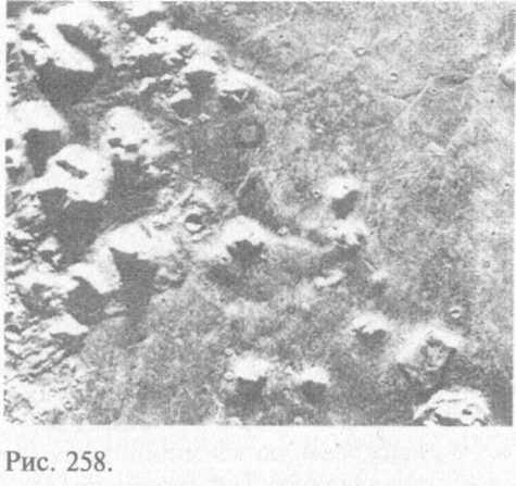 Сошедшие с небес и сотворившие людей - img_266.jpeg