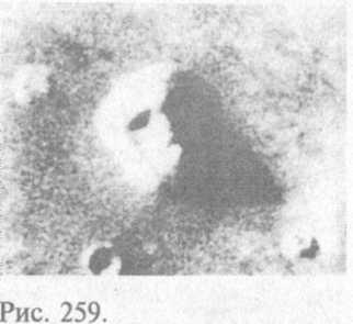 Сошедшие с небес и сотворившие людей - img_267.jpeg