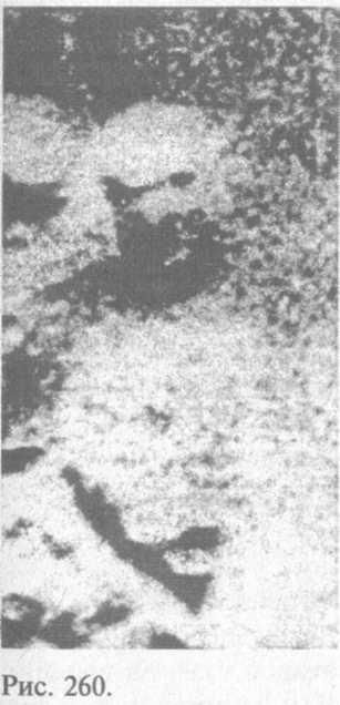 Сошедшие с небес и сотворившие людей - img_268.jpeg