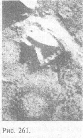 Сошедшие с небес и сотворившие людей - img_269.jpeg