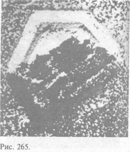 Сошедшие с небес и сотворившие людей - img_273.jpeg