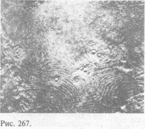 Сошедшие с небес и сотворившие людей - img_275.jpeg