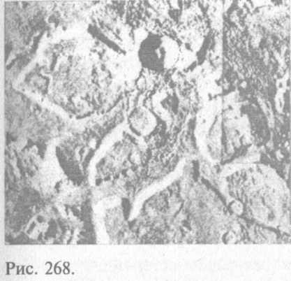 Сошедшие с небес и сотворившие людей - img_276.jpeg