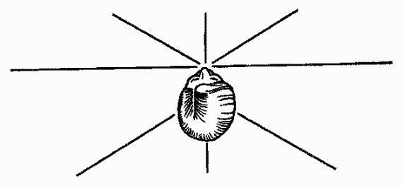 NLP. Полное практическое руководство - i_010.png
