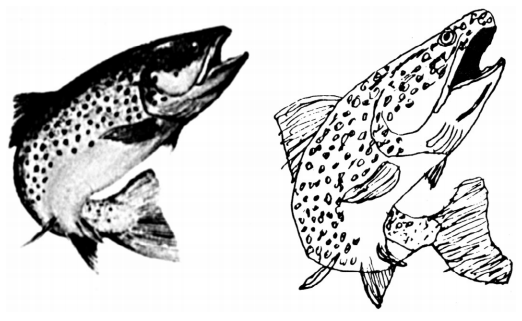 Человек, который принял жену за шляпу, и другие истории из врачебной практики - i_009.png