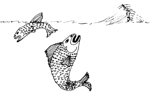 Человек, который принял жену за шляпу, и другие истории из врачебной практики - i_010.png