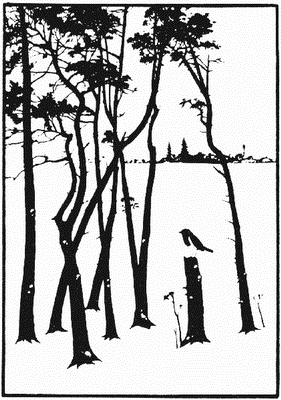 Человек, который принял жену за шляпу, и другие истории из врачебной практики - i_011.png