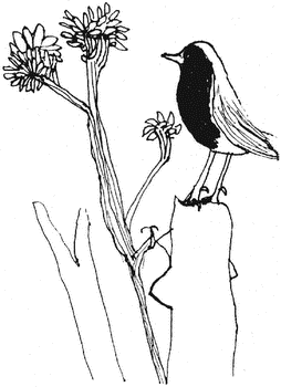 Человек, который принял жену за шляпу, и другие истории из врачебной практики - i_012.png