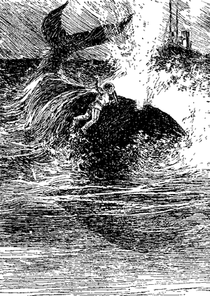 Таємниця двох океанів - _8.png