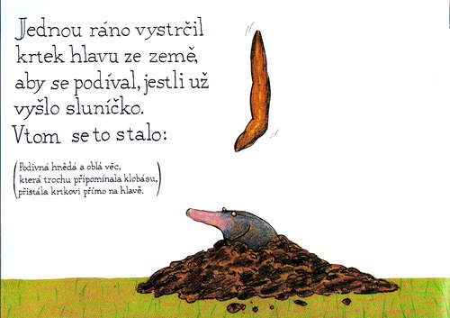 O krtkovi, který chtĕl vĕdĕt, kdo se mu vykakal na hlavu - krotik_02.jpg