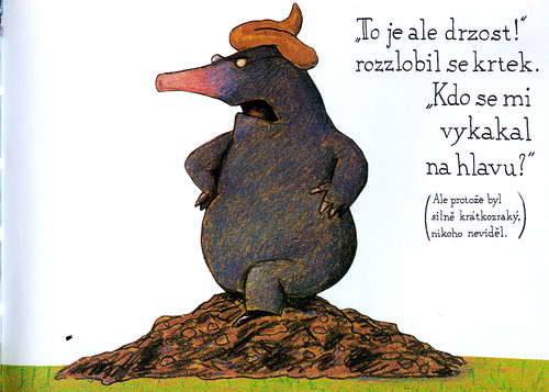 O krtkovi, který chtĕl vĕdĕt, kdo se mu vykakal na hlavu - krotik_03.jpg