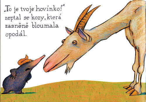 O krtkovi, který chtĕl vĕdĕt, kdo se mu vykakal na hlavu - krotik_10.jpg