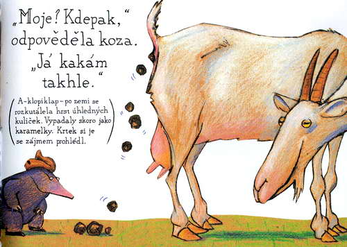 O krtkovi, který chtĕl vĕdĕt, kdo se mu vykakal na hlavu - krotik_11.jpg